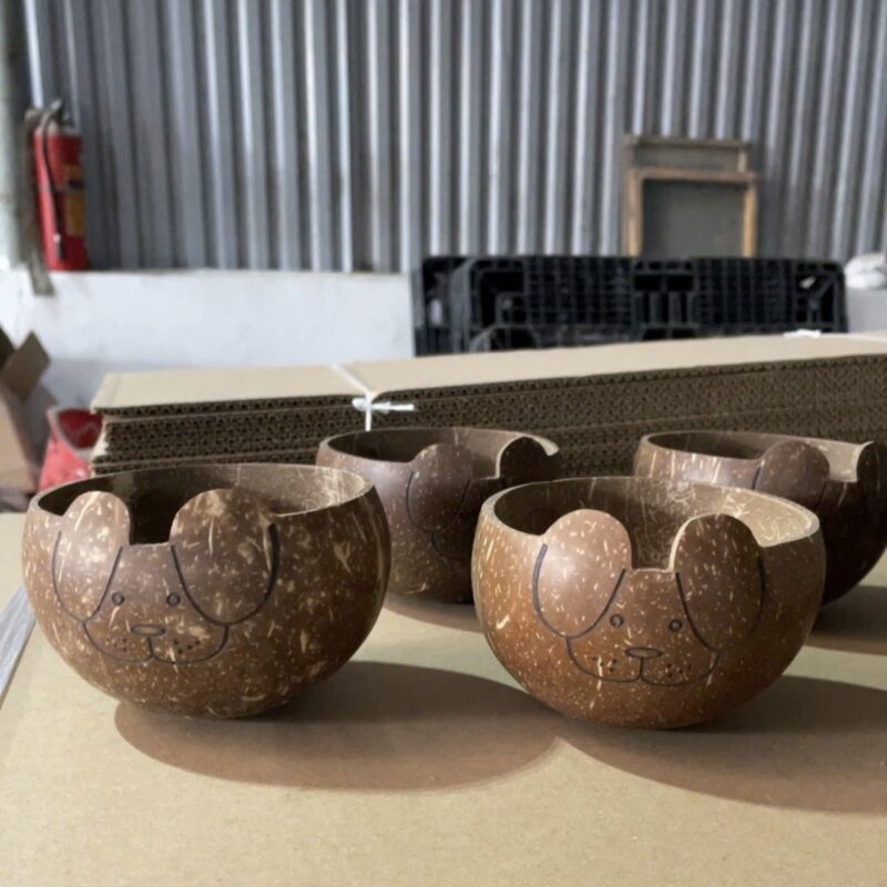 Coconut Bowl Test Ürün 3