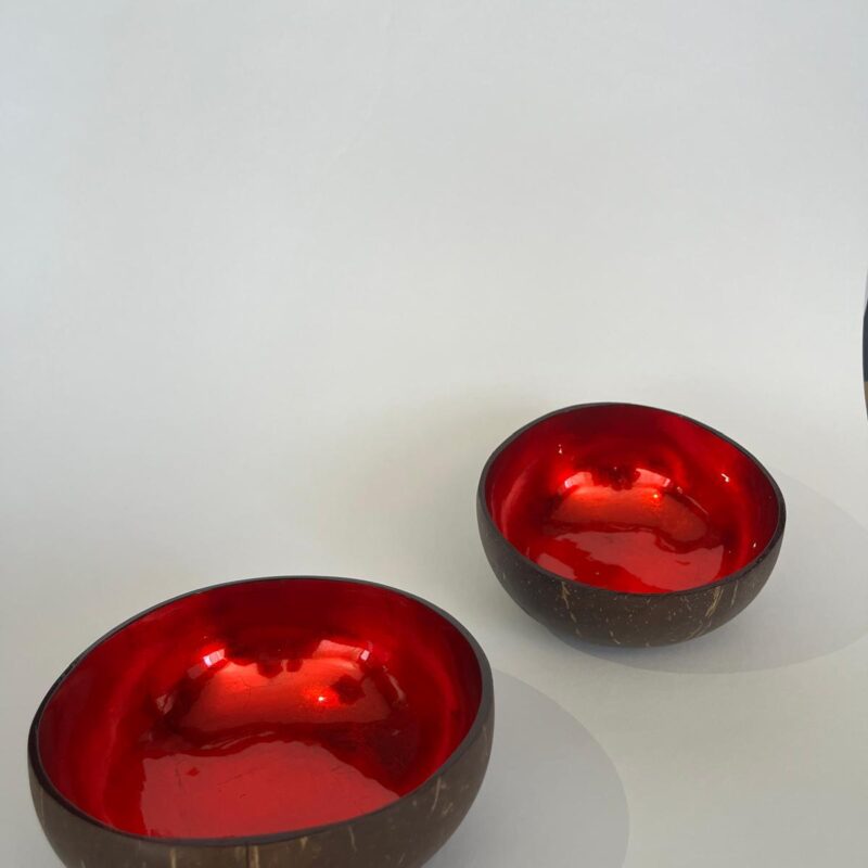 Coconut bowl Red