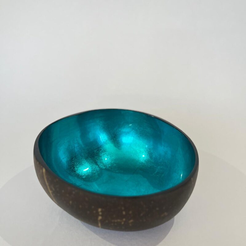 Coconut Bowl Blue