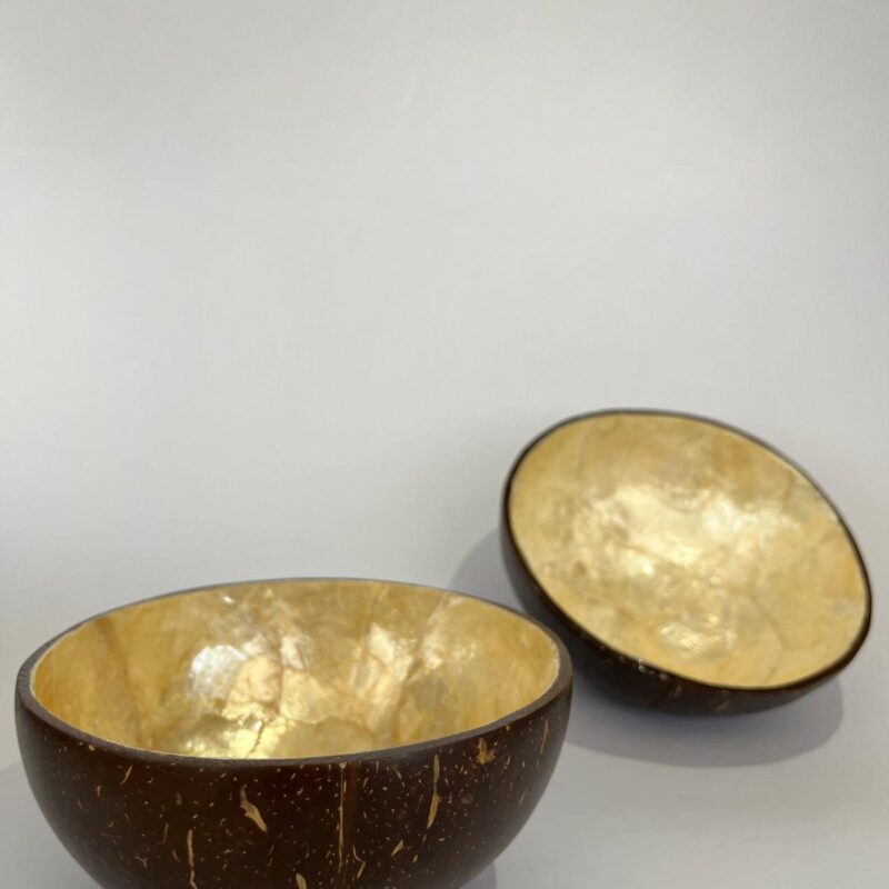 Coconut Bowl Golden Pearl