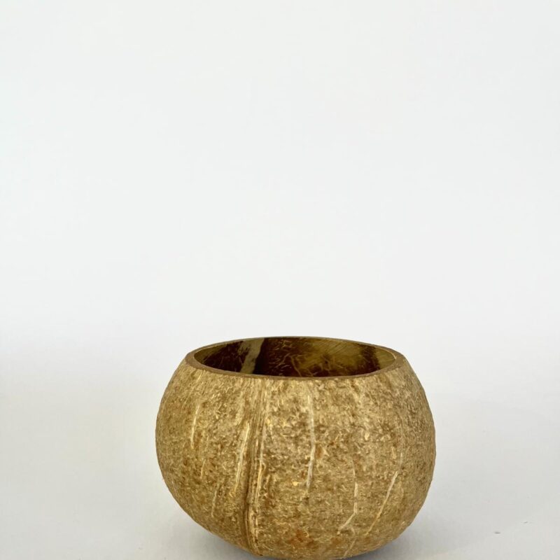Coconut Bowl Rustic